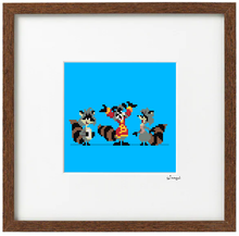 Raccoons